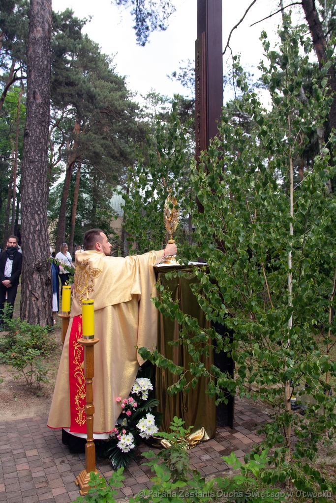 Procesja 016